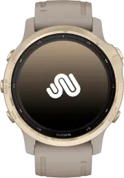 Fenix 6S Pro