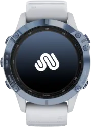 Fenix 6