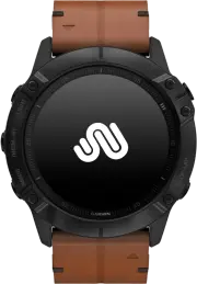 Fenix 6X