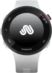 Forerunner 45s
